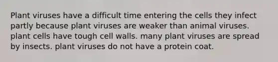 Plant viruses have a difficult time entering the cells they infect partly because plant viruses are weaker than animal viruses. plant cells have tough cell walls. many plant viruses are spread by insects. plant viruses do not have a protein coat.
