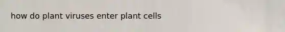 how do plant viruses enter plant cells