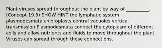 Plant viruses spread throughout the plant by way of __________. (Concept 19.3) SHOW HINT the lymphatic system plasmodesmata chloroplasts central vacuoles vertical transmission Plasmodesmata connect the cytoplasm of different cells and allow nutrients and fluids to move throughout the plant. Viruses can spread through these connections.