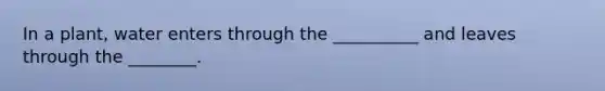 In a plant, water enters through the __________ and leaves through the ________.