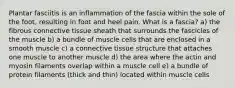 Plantar fasciitis is an inflammation of the fascia within the sole of the foot, resulting in foot and heel pain. What is a fascia? a) the fibrous connective tissue sheath that surrounds the fascicles of the muscle b) a bundle of muscle cells that are enclosed in a smooth muscle c) a connective tissue structure that attaches one muscle to another muscle d) the area where the actin and myosin filaments overlap within a muscle cell e) a bundle of protein filaments (thick and thin) located within muscle cells