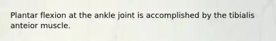 Plantar flexion at the ankle joint is accomplished by the tibialis anteior muscle.