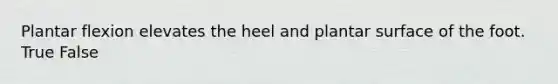 Plantar flexion elevates the heel and plantar surface of the foot. True False