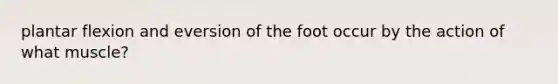 plantar flexion and eversion of the foot occur by the action of what muscle?