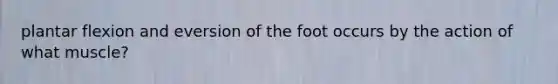 plantar flexion and eversion of the foot occurs by the action of what muscle?