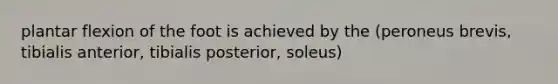 plantar flexion of the foot is achieved by the (peroneus brevis, tibialis anterior, tibialis posterior, soleus)