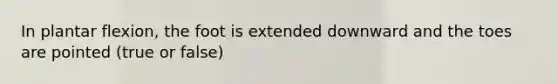 In plantar flexion, the foot is extended downward and the toes are pointed (true or false)