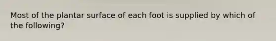 Most of the plantar surface of each foot is supplied by which of the following?