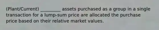 (Plant/Current) _________ assets purchased as a group in a single transaction for a lump-sum price are allocated the purchase price based on their relative market values.