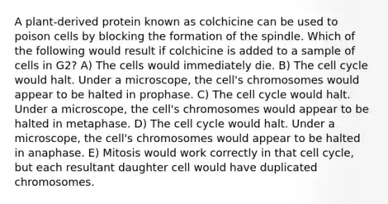 A plant-derived protein known as colchicine can be used to poison cells by blocking the formation of the spindle. Which of the following would result if colchicine is added to a sample of cells in G2? A) The cells would immediately die. B) The cell cycle would halt. Under a microscope, the cell's chromosomes would appear to be halted in prophase. C) The cell cycle would halt. Under a microscope, the cell's chromosomes would appear to be halted in metaphase. D) The cell cycle would halt. Under a microscope, the cell's chromosomes would appear to be halted in anaphase. E) Mitosis would work correctly in that cell cycle, but each resultant daughter cell would have duplicated chromosomes.