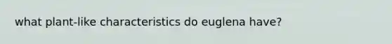 what plant-like characteristics do euglena have?