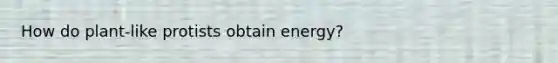 How do plant-like protists obtain energy?