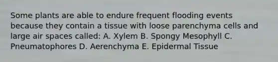 Some plants are able to endure frequent flooding events because they contain a tissue with loose parenchyma cells and large air spaces called: A. Xylem B. Spongy Mesophyll C. Pneumatophores D. Aerenchyma E. Epidermal Tissue