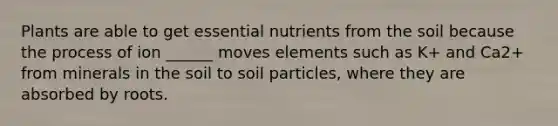 Plants are able to get essential nutrients from the soil because the process of ion ______ moves elements such as K+ and Ca2+ from minerals in the soil to soil particles, where they are absorbed by roots.