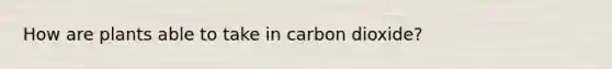 How are plants able to take in carbon dioxide?