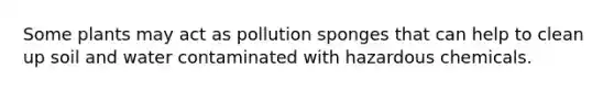 Some plants may act as pollution sponges that can help to clean up soil and water contaminated with hazardous chemicals.