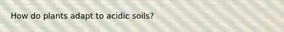 How do plants adapt to acidic soils?