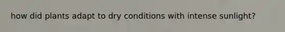 how did plants adapt to dry conditions with intense sunlight?