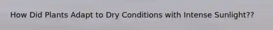 How Did Plants Adapt to Dry Conditions with Intense Sunlight??