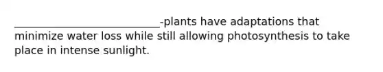 ___________________________-plants have adaptations that minimize water loss while still allowing photosynthesis to take place in intense sunlight.