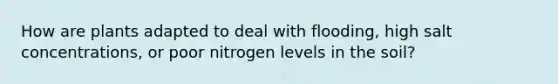 How are plants adapted to deal with flooding, high salt concentrations, or poor nitrogen levels in the soil?