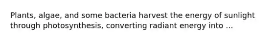 Plants, algae, and some bacteria harvest the energy of sunlight through photosynthesis, converting radiant energy into ...