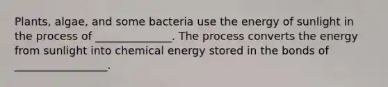 Plants, algae, and some bacteria use the energy of sunlight in the process of ______________. The process converts the energy from sunlight into chemical energy stored in the bonds of _________________.