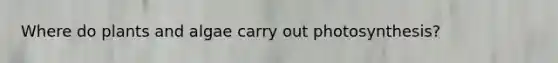 Where do plants and algae carry out photosynthesis?