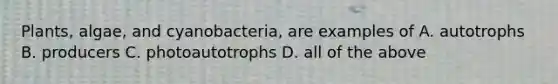 Plants, algae, and cyanobacteria, are examples of A. autotrophs B. producers C. photoautotrophs D. all of the above