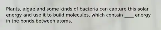 Plants, algae and some kinds of bacteria can capture this solar energy and use it to build molecules, which contain ____ energy in the bonds between atoms.