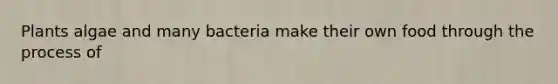 Plants algae and many bacteria make their own food through the process of