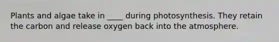 Plants and algae take in ____ during photosynthesis. They retain the carbon and release oxygen back into the atmosphere.