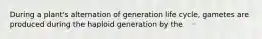 During a plant's alternation of generation life cycle, gametes are produced during the haploid generation by the