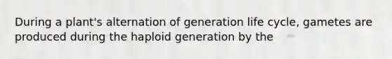 During a plant's alternation of generation life cycle, gametes are produced during the haploid generation by the