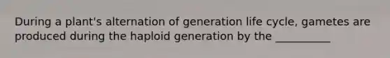 During a plant's alternation of generation life cycle, gametes are produced during the haploid generation by the __________