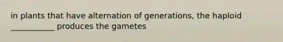 in plants that have alternation of generations, the haploid ___________ produces the gametes