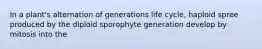 In a plant's alternation of generations life cycle, haploid spree produced by the diploid sporophyte generation develop by mitosis into the