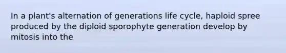 In a plant's alternation of generations life cycle, haploid spree produced by the diploid sporophyte generation develop by mitosis into the