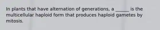 In plants that have alternation of generations, a ______ is the multicellular haploid form that produces haploid gametes by mitosis.