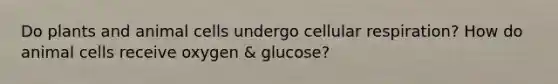 Do plants and animal cells undergo <a href='https://www.questionai.com/knowledge/k1IqNYBAJw-cellular-respiration' class='anchor-knowledge'>cellular respiration</a>? How do animal cells receive oxygen & glucose?