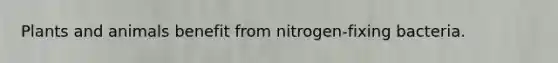 Plants and animals benefit from nitrogen-fixing bacteria.