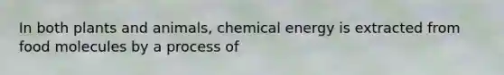 In both plants and animals, chemical energy is extracted from food molecules by a process of