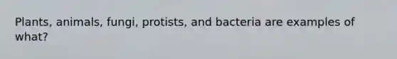 Plants, animals, fungi, protists, and bacteria are examples of what?