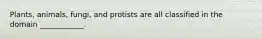 Plants, animals, fungi, and protists are all classified in the domain ____________.