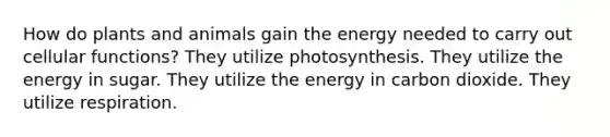 How do plants and animals gain the energy needed to carry out cellular functions? They utilize photosynthesis. They utilize the energy in sugar. They utilize the energy in carbon dioxide. They utilize respiration.