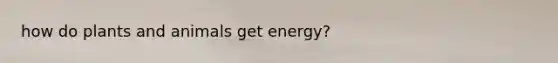 how do plants and animals get energy?