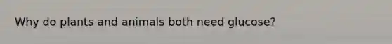 Why do plants and animals both need glucose?