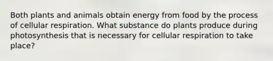 Both plants and animals obtain energy from food by the process of cellular respiration. What substance do plants produce during photosynthesis that is necessary for cellular respiration to take place?