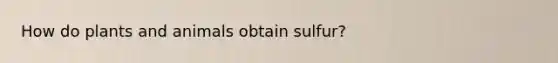 How do plants and animals obtain sulfur?