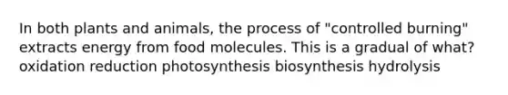 In both plants and animals, the process of "controlled burning" extracts energy from food molecules. This is a gradual of what? oxidation reduction photosynthesis biosynthesis hydrolysis